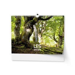 Kalendář Nástěnný kalendář - Les