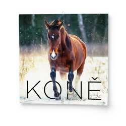 Kalendář Nástěnný kalendář - Koně