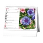 Vnitřní strany