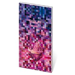 Diář Školák Craftgirl 2026/27 - české kalendárium