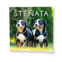 Kalendář Nástěnný kalendář - Štěňata