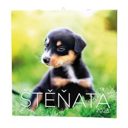 Kalendář Nástěnný kalendář - Štěňata