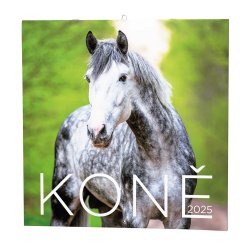 Kalendář Nástěnný kalendář - Koně