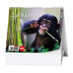 Kalendář Stolní kalendář - IDEÁL - Zvířátka celého světa