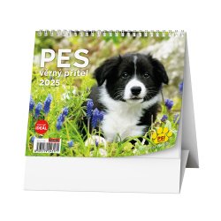 Kalendář Stolní kalendář - IDEÁL - Pes - věrný přítel /s psími jmény/