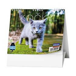 Kalendář Stolní kalendář - IDEÁL - Kočky /s kočičími jmény/