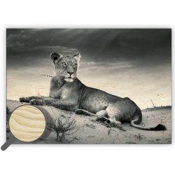 Kalendář Dřevěný obraz Lioness