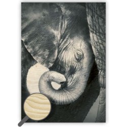 Kalendář Dřevěný obraz Little Elephant