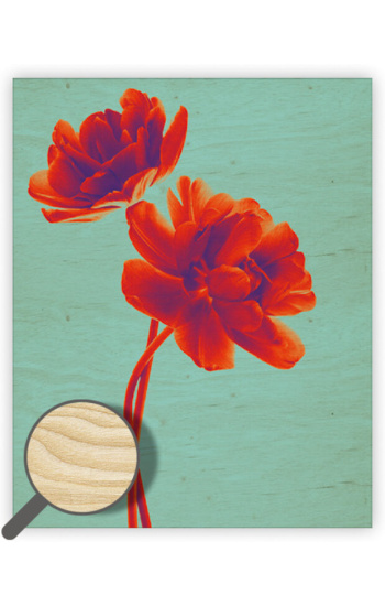 Dřevěný obraz Tulip