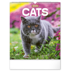 Kalendář Nástěnný kalendář Kočky 2024, 30 × 34 cm